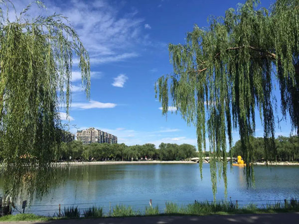 thumbnail image for 北京的蓝天是否已成为“新常态”？