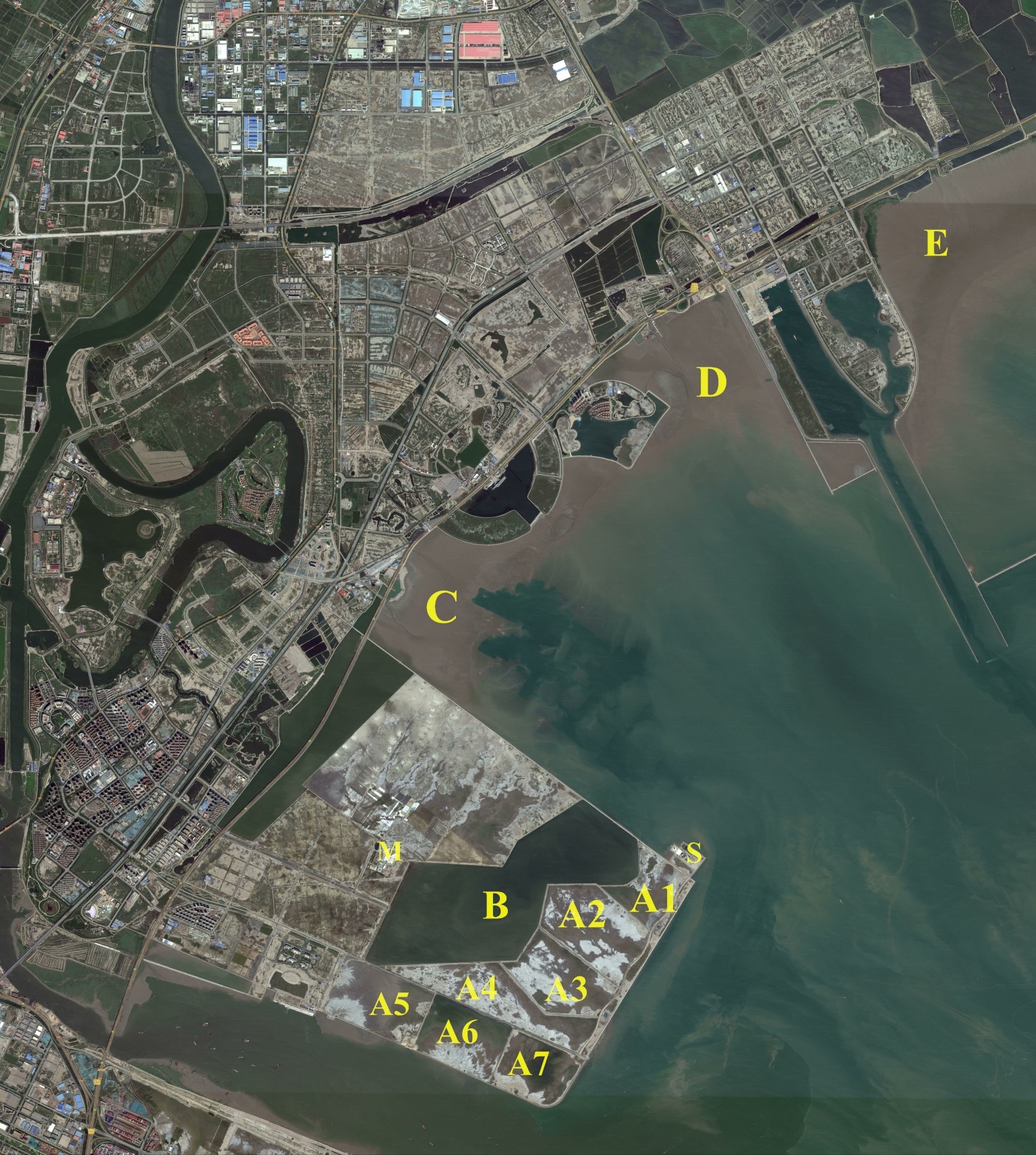 2004-2009年期间为了建设旅游景点而在汉沽滨海湿地开展围垦项目后，目前只有C段和部分A段区域仍然适合候鸟栖息。