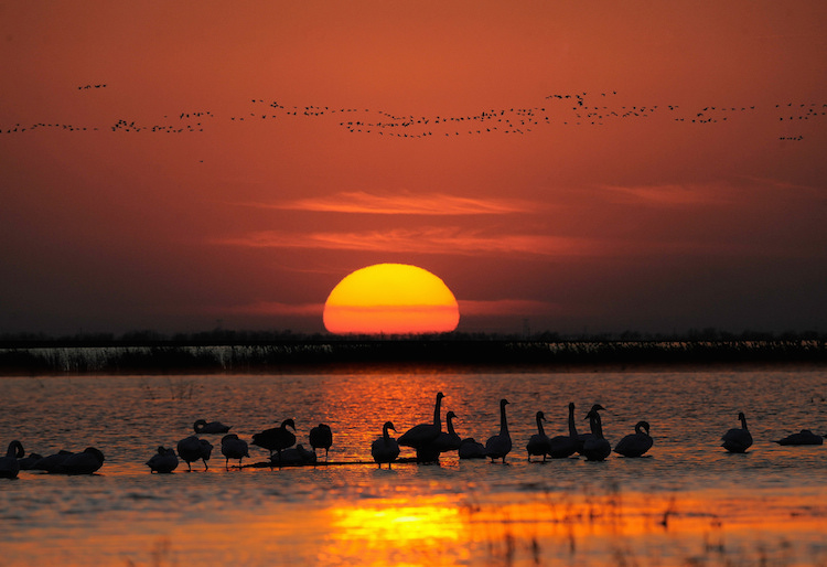 thumbnail image for 如何守住8亿亩湿地“生态底线”