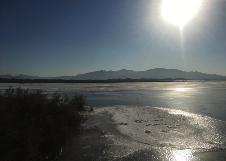 thumbnail image for 从中国到斯里兰卡，全球湿地保护在行动