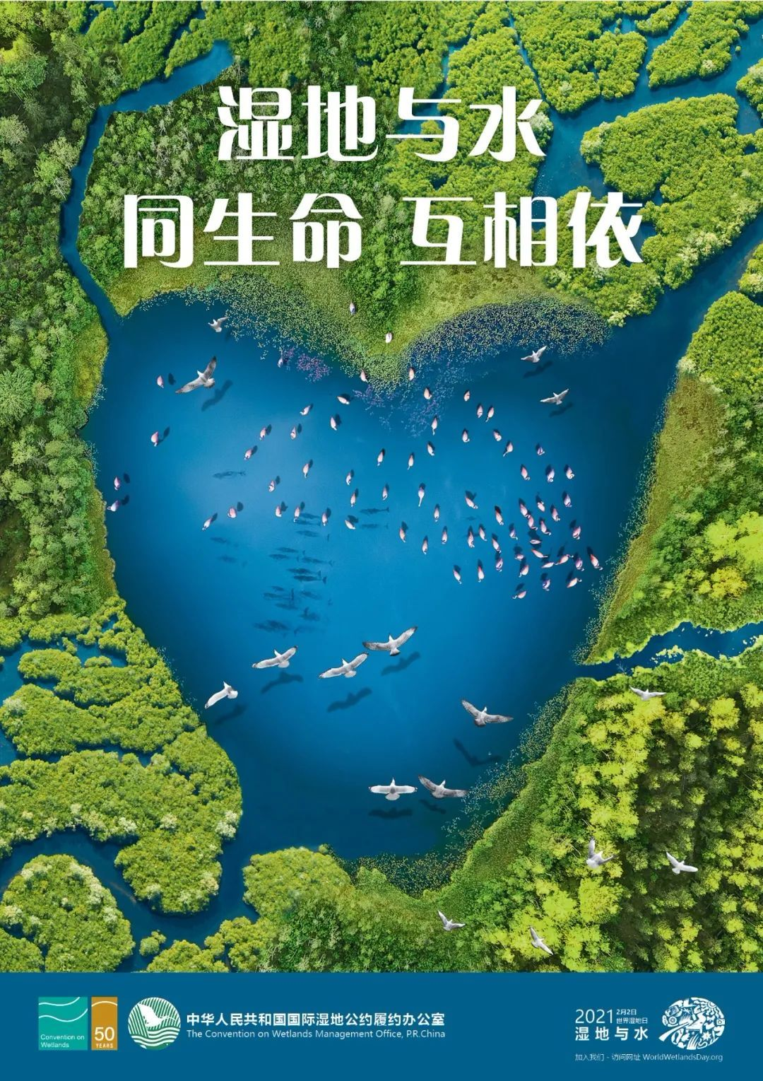 thumbnail image for 英国“鸟叔”邂逅中国湿地，10年亲历滨海湿地保护