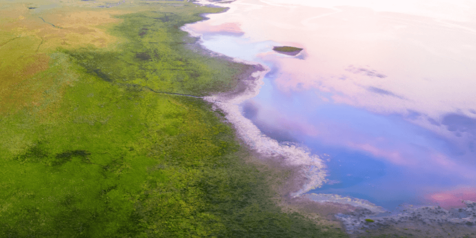 thumbnail image for 戴青丽：应对生物多样性丧失风险，国际金融机构至关重要