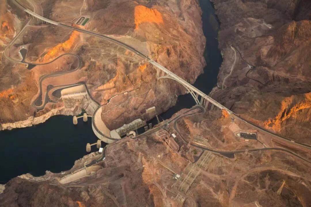 thumbnail image for 国际生物多样性日｜切勿为我们的“胜利”所误